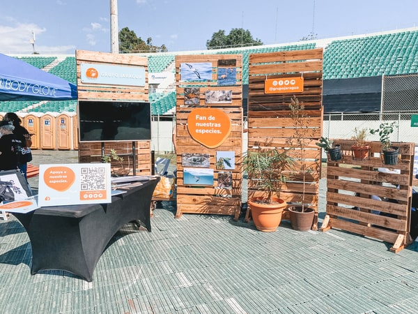 Exhibidores Y Displays